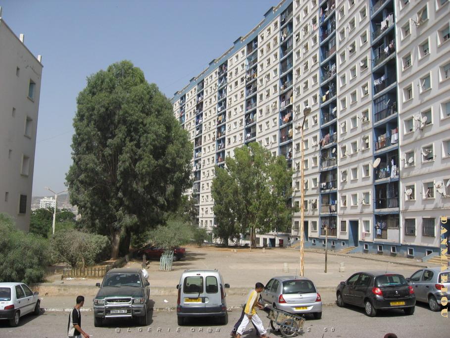 2369 cite la fontaine.jpg